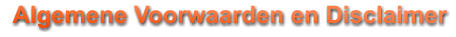 Algemene Voorwaarden en Disclaimer