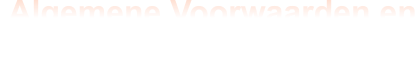 Algemene Voorwaarden en Disclaimer