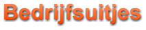 Bedrijfsuitjes